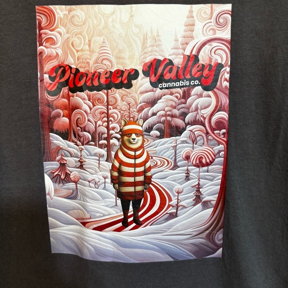 Gildan Men’s Large Pioneer Valley Graphic Long Sleeve T-shirt Grey Fox - Picture 3 of 7